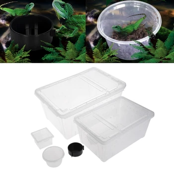Прозрачная пластиковая коробка Транспортировка насекомых Разведение рептилий Коробка для кормления живым кормом для ящериц Черепаха Паук Жук Жилище насекомых