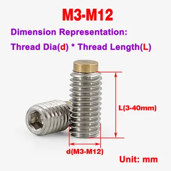 Зажимной винт счетчика M3-M12 для затяжки латунной головки из нержавеющей стали 304